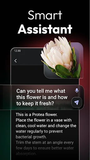 ChatOn - AI Chat Bot Assistant Android app screenshot 2
