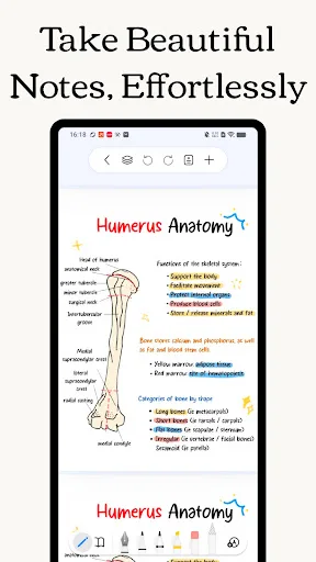 Freenotes - Notes Taking & PDF Android app screenshot 1