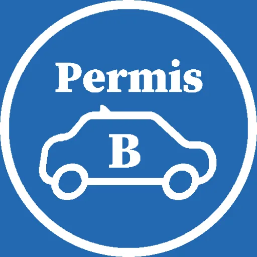 Permis B Vérifications Android app icon