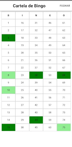 Sorteador de Bingo Android app screenshot 3
