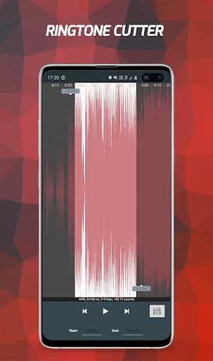 Pi Music Player: Offline Music Android app screenshot 4