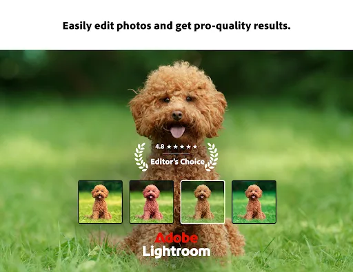 Lightroom Photo & Video Editor Android app screenshot 1