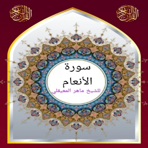 سورة الأنعام للشيخ المعيقلي Android app icon