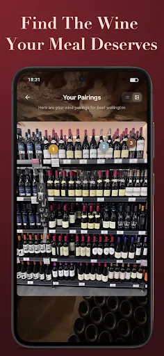 Wine Pairing Scout: Sommelier Android app screenshot 2