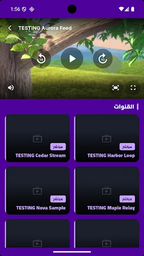 BenBen TV Android app screenshot 2