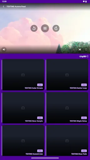 BenBen TV Android app screenshot 5