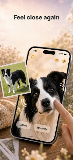 Besideo: A World for Every Pet Android app screenshot 2