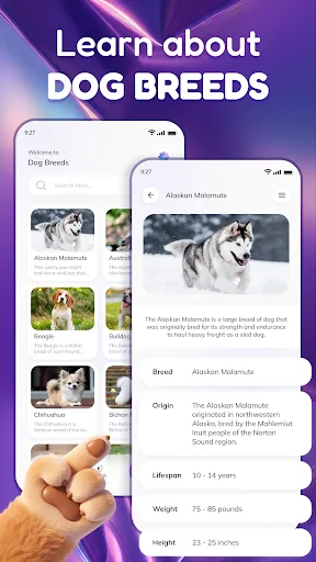 Dog Translator & Training Android app screenshot 6