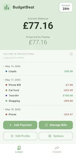 BudgetBeat Android app screenshot 2