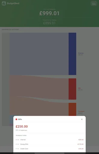 BudgetBeat Android app screenshot 4