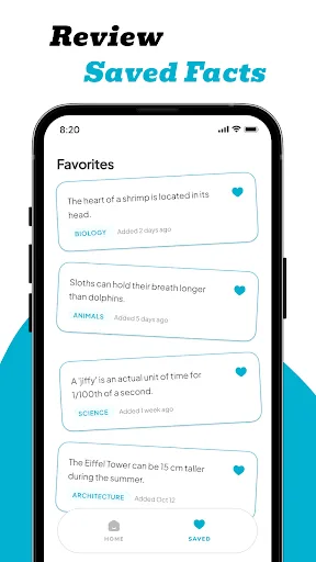 Fact Flow Android app screenshot 3