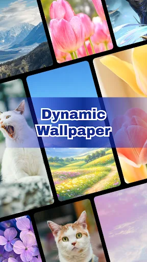 Dynamic Wallpaper - HD & Live Android app screenshot 4