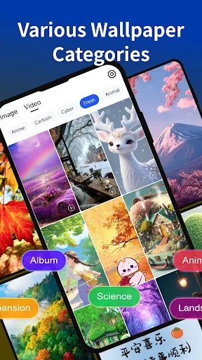Easy Wallpaper - HD & Video Android app screenshot 2