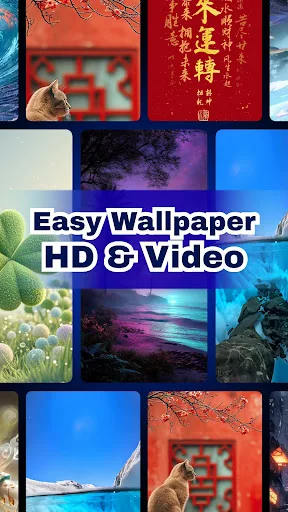 Easy Wallpaper - HD & Video Android app screenshot 4