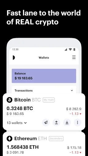 Crypto & Bitcoin Wallet Paybis Android app screenshot 3