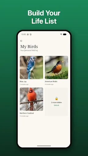Bird ID: Identifier & Calls Android app screenshot 4