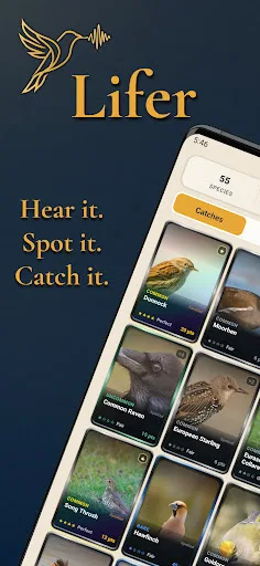Lifer - Bird ID & Birding Android app screenshot 1