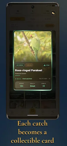 Lifer - Bird ID & Birding Android app screenshot 4