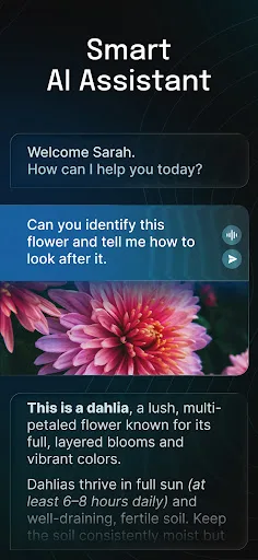 AI Chatbot - Nova Android app screenshot 2