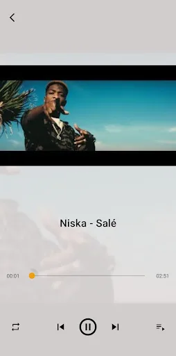 Niska Songs Offline Android app screenshot 6
